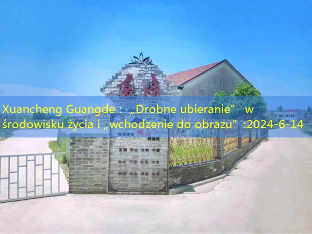 Xuancheng Guangde： „Drobne ubieranie” w środowisku życia i „wchodzenie do obrazu”